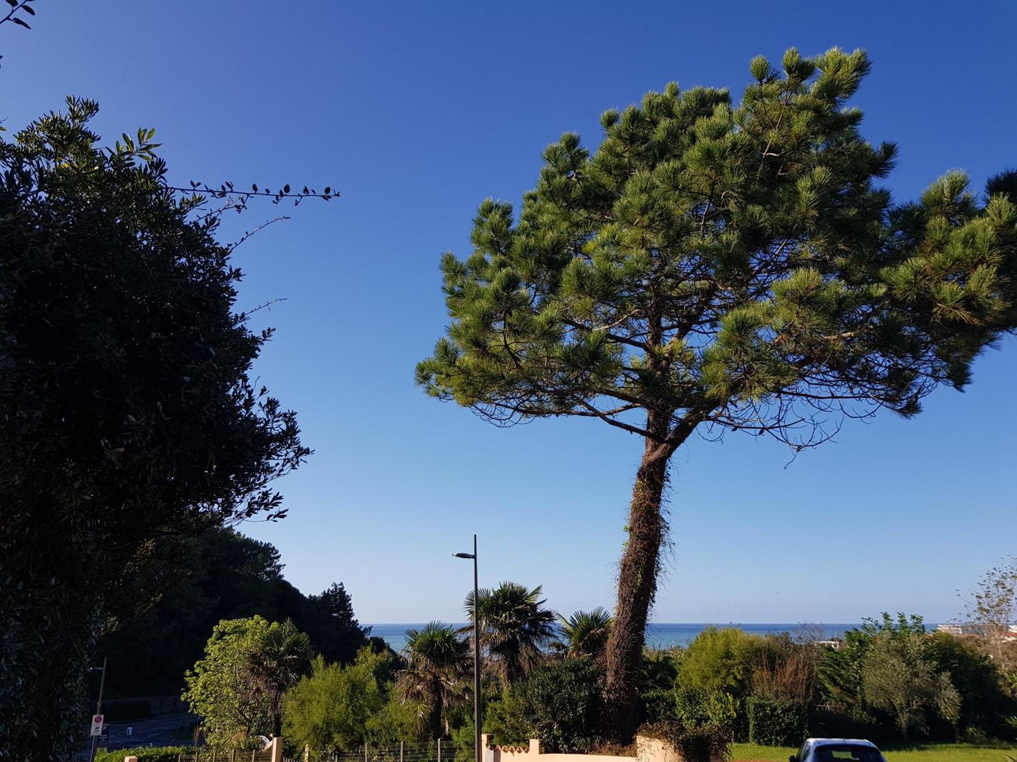 Appartement Dans De Standing Avec Parking Et Sa Terrasse Vue *