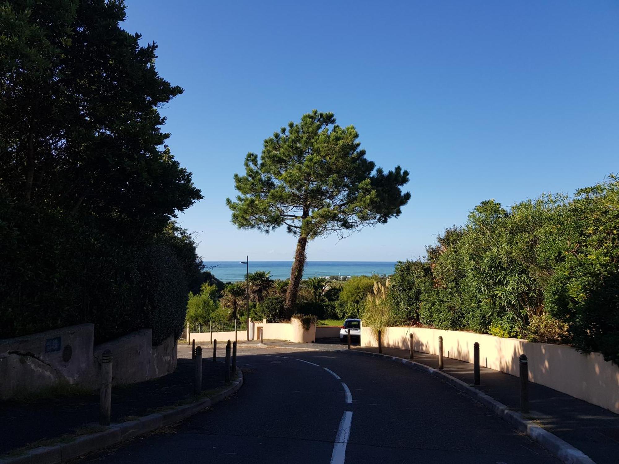 Dans De Standing Avec Parking Et Sa Terrasse Vue * Bidart